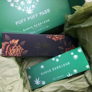 💚BNIB💚 MELT GEMINI PALETTE ONLY